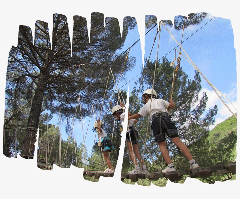 Aventuras En La Granja - Cortijo Cabriñana Cb Córdoba, transparent png #6367040