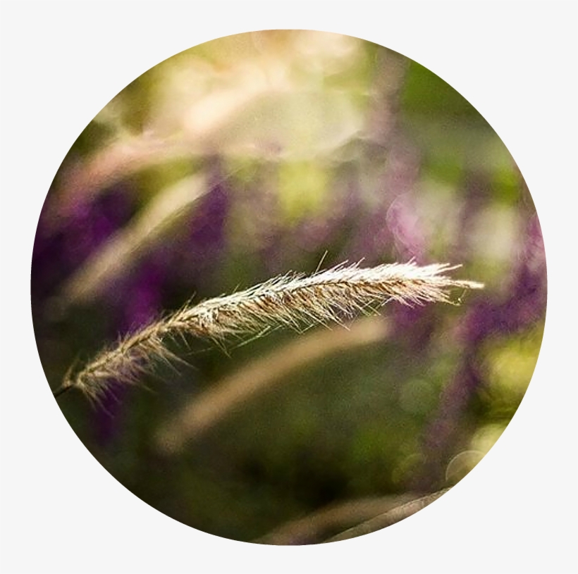 &nbsp - Blog, transparent png #6369127
