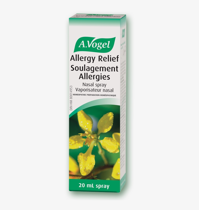 A Natural Allergic Rhinitis Treatment, transparent png #6375032