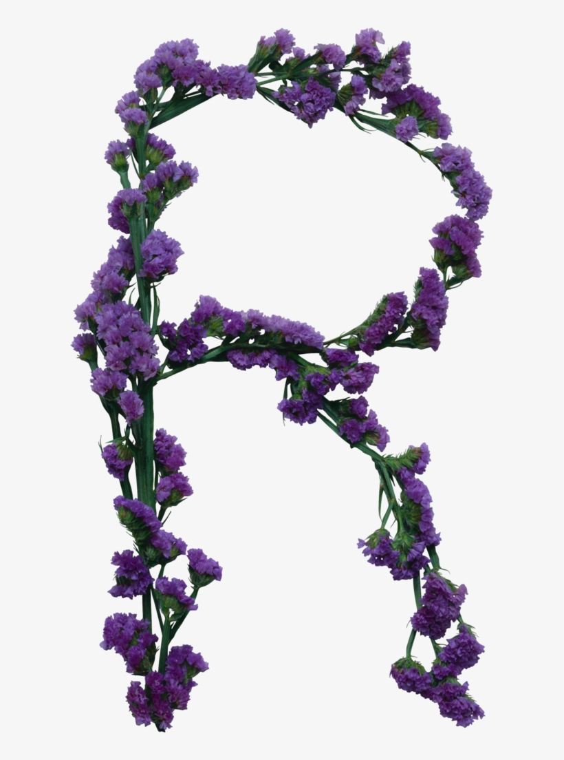 B *✿* Naturaleza - Down To Earth, transparent png #6375980