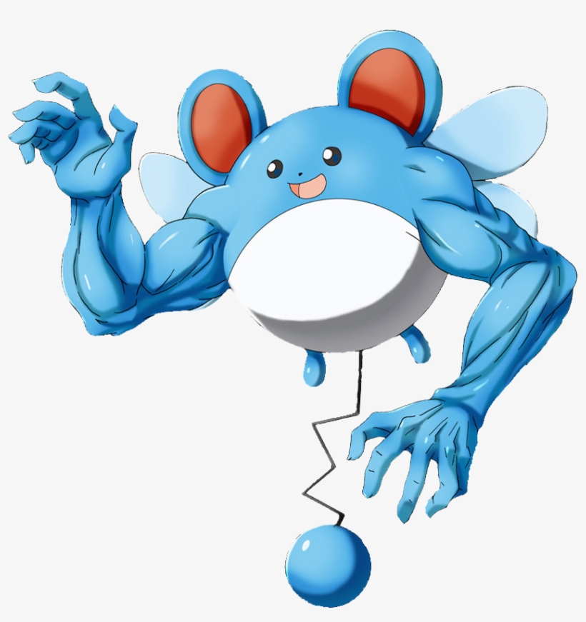 Megamarill Confirmed - Pokemon Retarded, transparent png #6376293