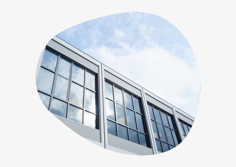 Liquid Crystal Windows Liquid Crystal Windows - Liquid, transparent png #6377489