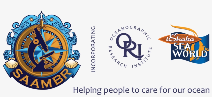 South African Association For Marine Biological Research, transparent png #6381049