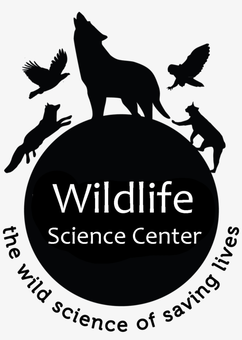 Wildlife Mn Logo 1 Format=1500w, transparent png #6381107