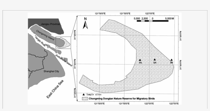 Map Of The Study Area With Sampling Sites In The Dongtan - Schwarztonnensand, transparent png #6382567