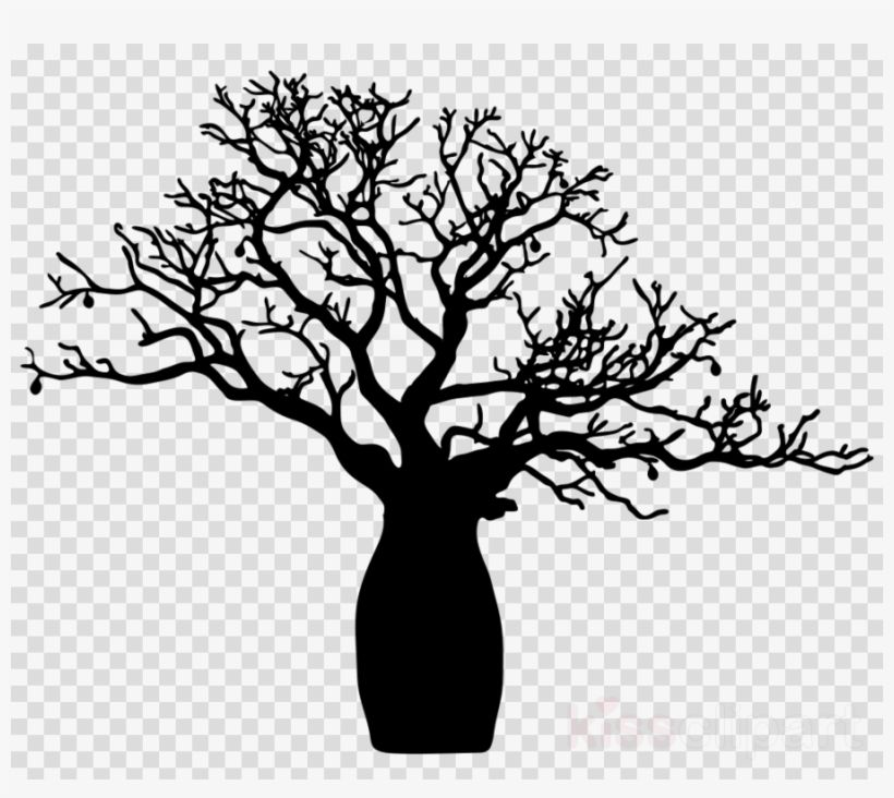 Baobab Tree Png Clipart Adansonia Gregorii Tree Clip - Boab Tree Clip Art, transparent png #6385399