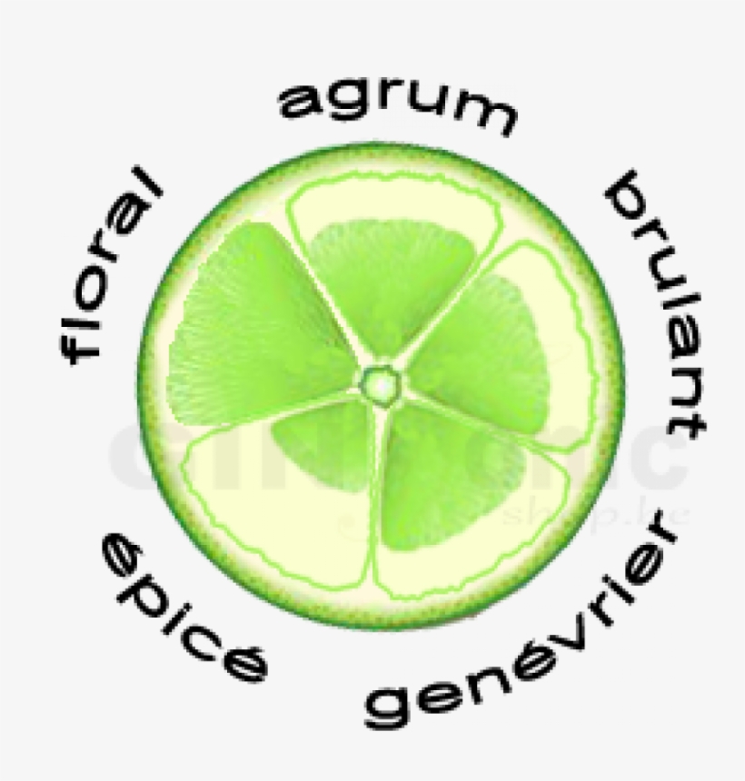 Fancybox - Gin, transparent png #6387208