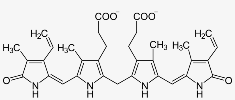 Biliverdin Structure, transparent png #6387251