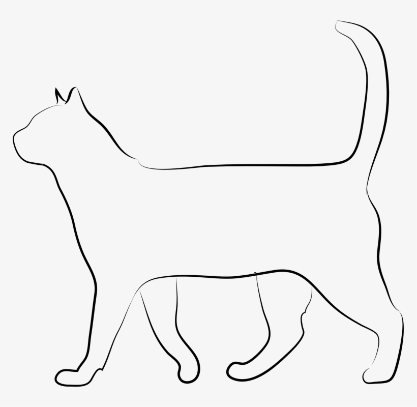My Cat Keeps Sneezing - Kot Obrazek Do Druku, transparent png #6387311
