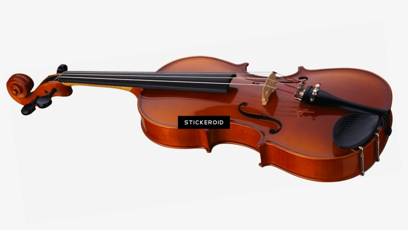 Violin Single Side - Ultimate Beginner Viola: Dvd (ultimate Beginner), transparent png #6387958