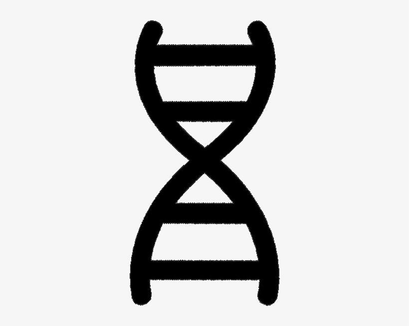 Race - Biology Simplified Ncert, transparent png #6388017