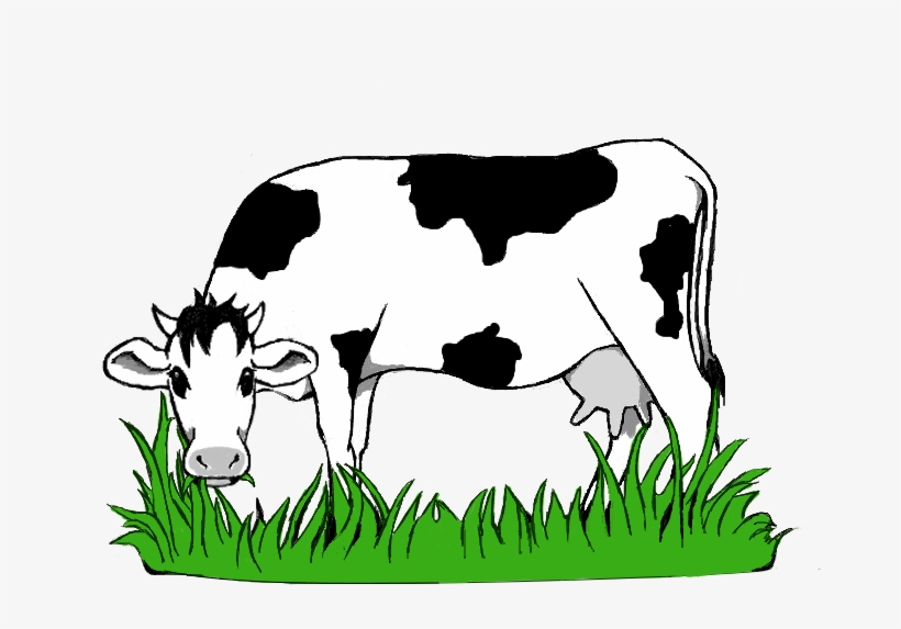 Black And White Stock Collection Of Grazing High Quality - Cow Grazing Clipart, transparent png #6388770