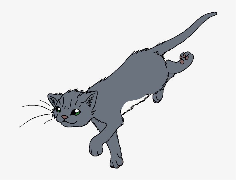 Duskwater - Pine Needle Warriors Cats, transparent png #6394738