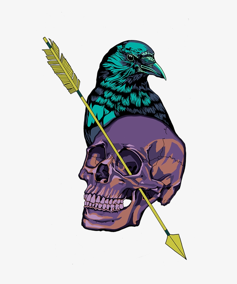 Crow And Skull Illustration - Illustration, transparent png #6396834