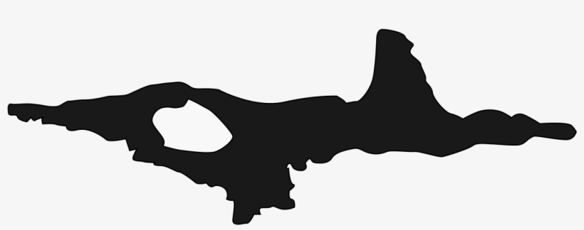 File - Sinoceratops Skull - Svg - Sinoceratops, transparent png #6396884