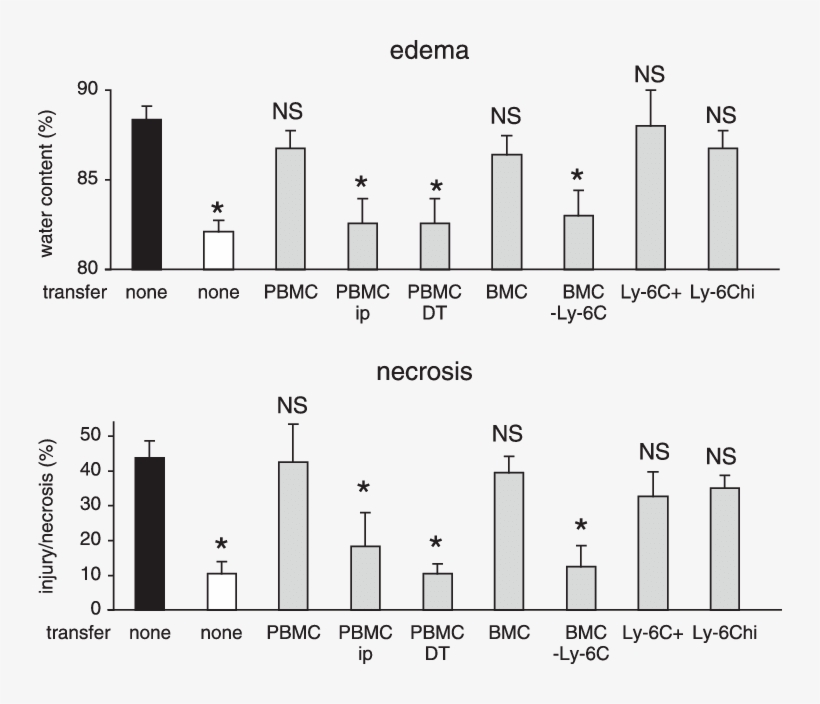 Effects Of Adoptive Transfer On Pancreatitis Severity - Diagram, transparent png #6397331