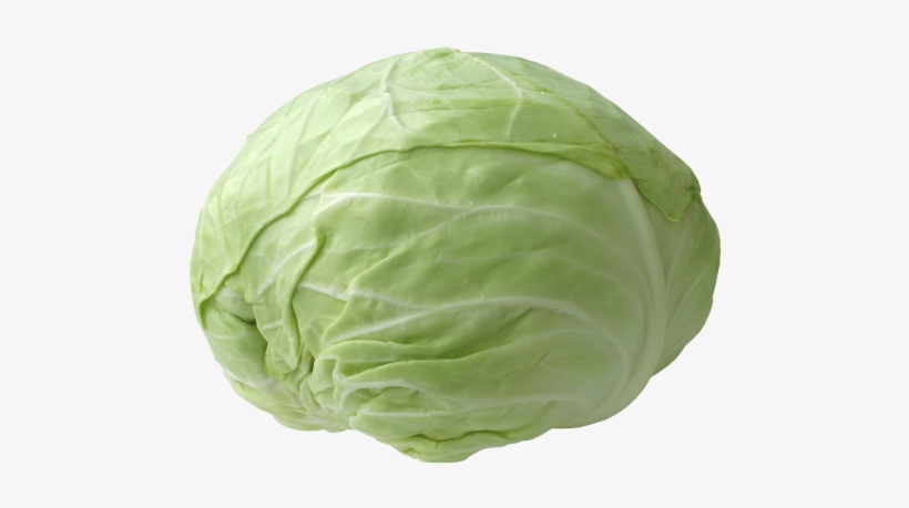 Cabbage Plan View Png Freeuse Stock - Repolho Em Png Transparente, transparent png #6398717