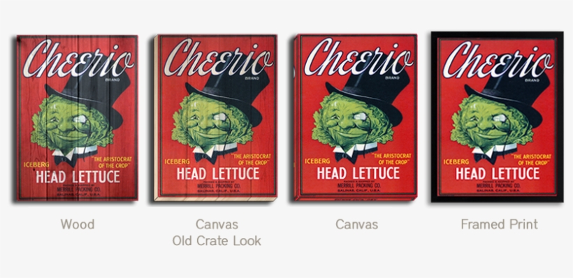 Cheerio Head Lettuce - Buy Enlarge 0-587-24635-9p20x30 Cheerio Brand California, transparent png #6398820