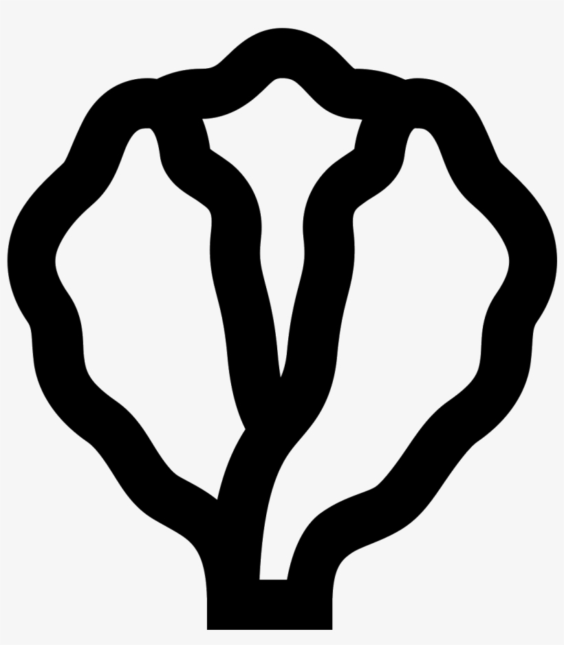 The Image Is An Outline Of A Single Head Of Lettuce - Icon, transparent png #6398992