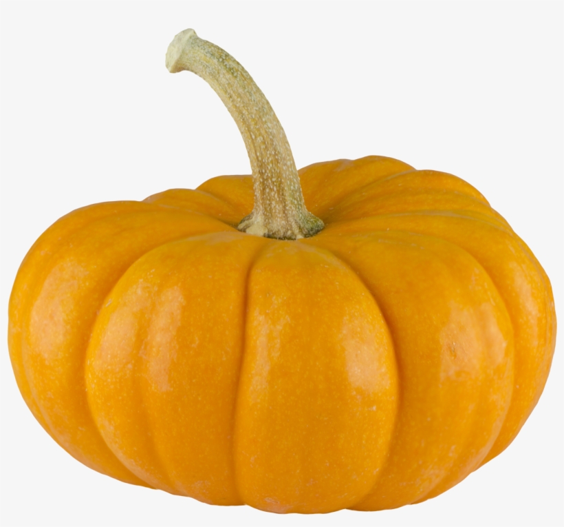 Pumpkin Png Transparent Pumpkin - Transparent Background Pumpkin Png, transparent png #640020