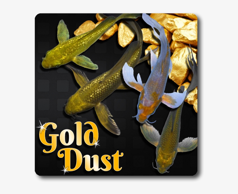 Gold Dust Butterfly Koi Free Shipping - Gold Nuggets For Leaders And Future Leaders [book], transparent png #640362