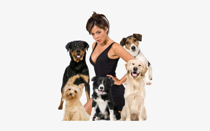 Sexy Latina And Dogs - Smartest Dog In The World, transparent png #641581