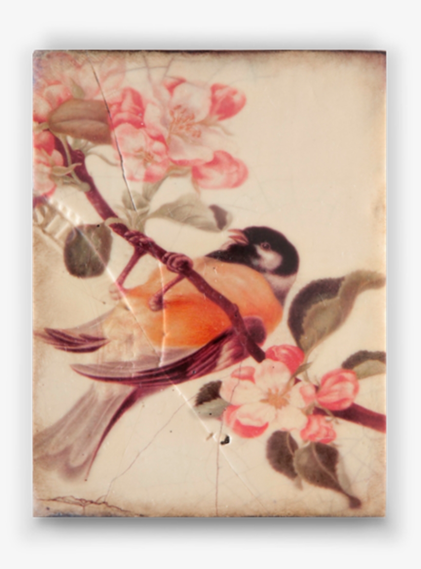 Spring 2010 - Porcellana - Sid Dickens, transparent png #642596