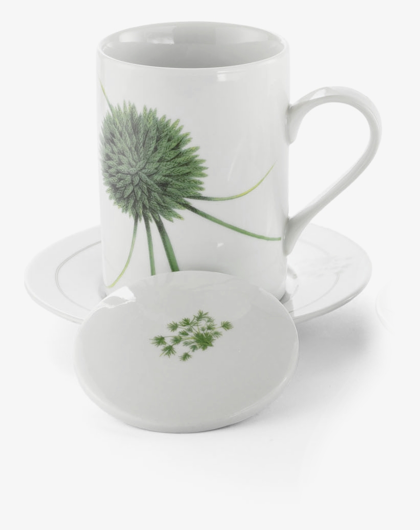 Pale Galingale Tea Cup Aboca Museum Collection - Aboca Museum, transparent png #643174