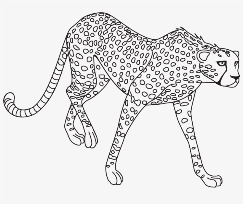 Jaguar Png Clipart - Black And White Clipart Jaguar, transparent png #643884