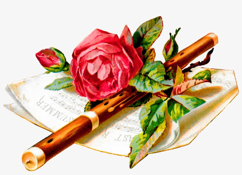 Flower Rose Music Flute Botanical Art Digital Image - Garden Roses, transparent png #644026