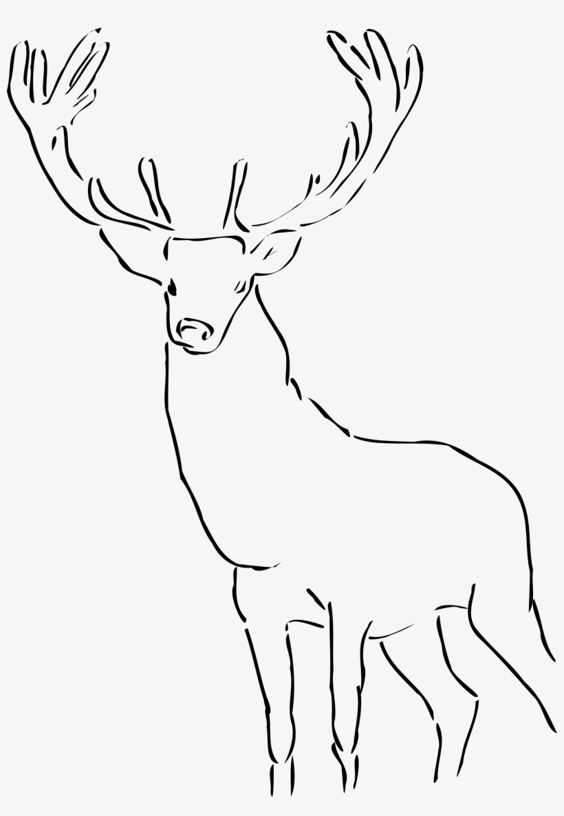 Stag Clipart Drawn - Stag Clip Art, transparent png #644744