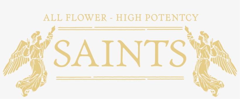 Slide - Seattle, transparent png #645005