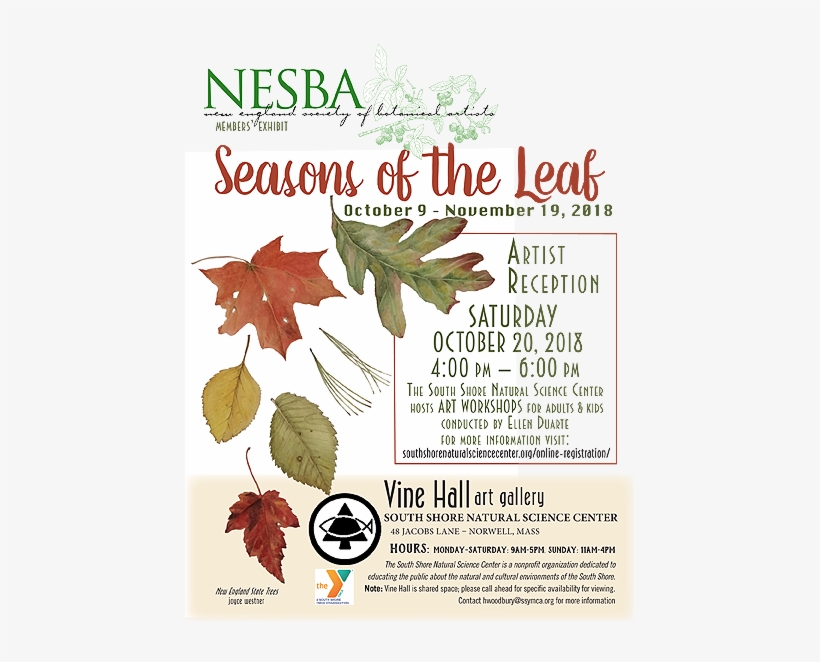 Seasons Of The Leaf Announcement - New England Scholastic Band Association, transparent png #645323