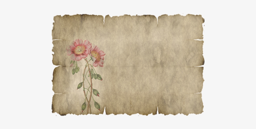 Parchment, Paper, Leaves, Flower, Old - Png Parchemnt, transparent png #645934