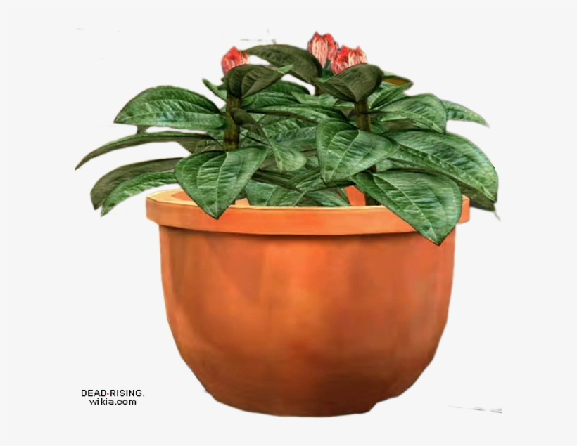 Dead Rising Potted Plant - Potted Plants Transparent Png, transparent png #645938