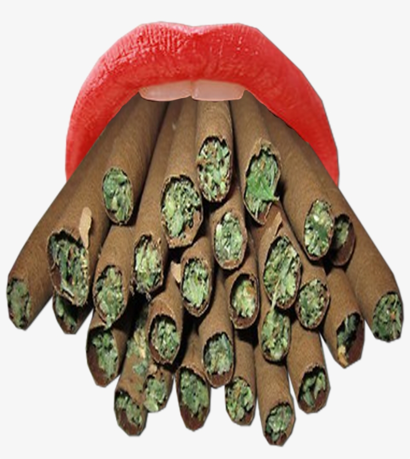 Weed Bong, Hippie Fashion, Glass Pipes, Hippie Style, - Blunts Png, transparent png #646055