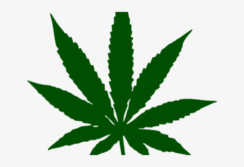 Drawn Pot Plant Transparent - Weed Leaf Transparent Background, transparent png #646529