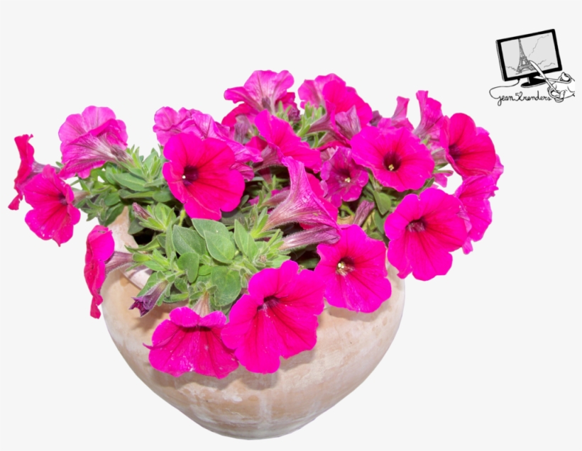 Flowerpot, transparent png #646767
