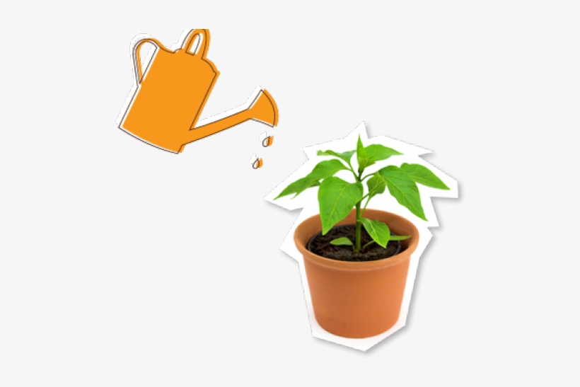 Potted Plants Free On Dumielauxepices Net - Watering Potted Plant, transparent png #646829