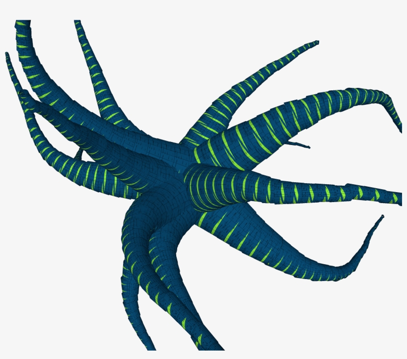 See Hi-res Anemone And - Anemone Transparent Background, transparent png #647444