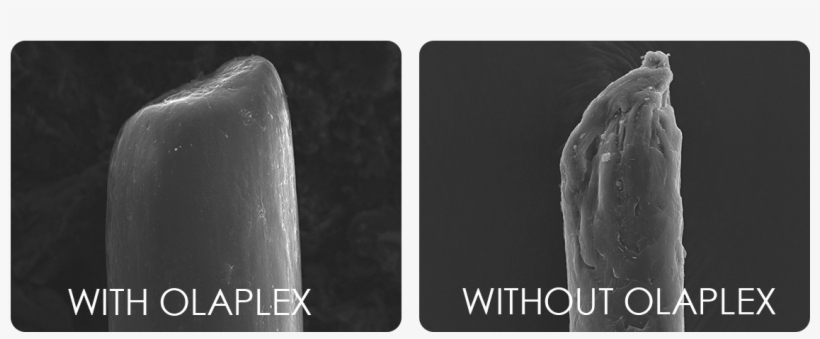 Angles Hair Studio Hair Salons In St - Monochrome, transparent png #648075