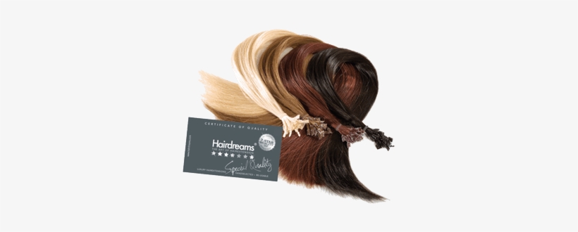 Haarfarben In Bester 7 Sterne Echthaar-qualität Von - Haarverlängerung Hairdreams Farbe 08, transparent png #648392