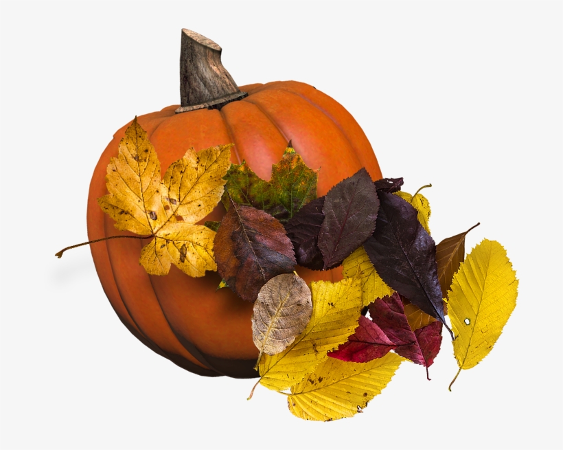 Give Thanks Ll2 - Jack-o'-lantern, transparent png #648479