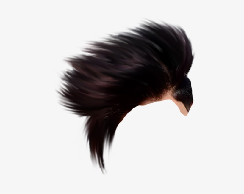 For More Download Cb Hair Png In High Quality Plz Click - Cb Editing Hair  Png - Free Transparent PNG Download - PNGkey