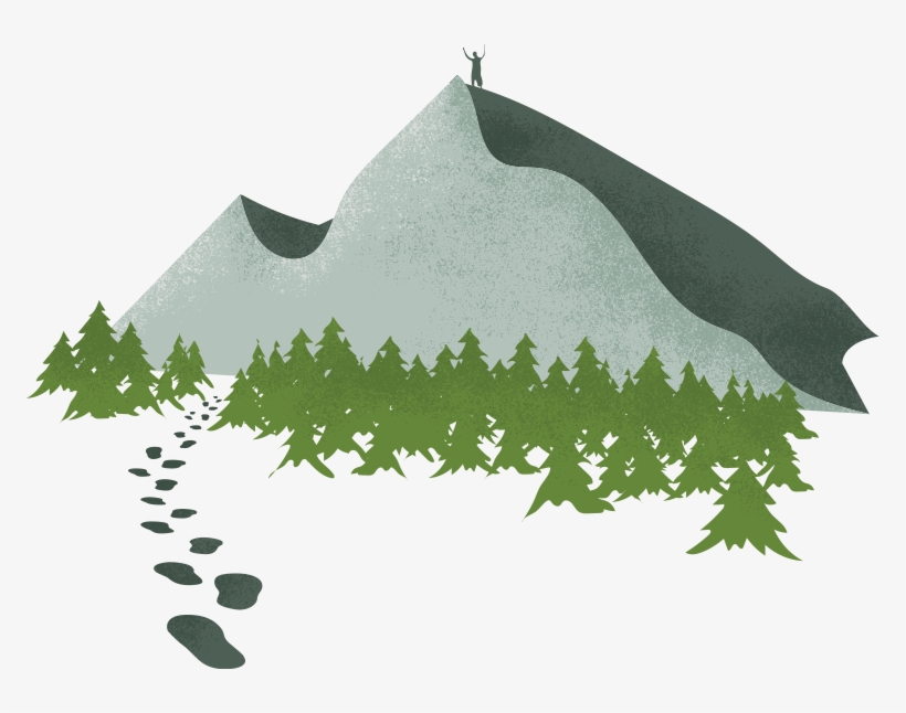 Brief Action Planning Training - Christmas Tree, transparent png #6400058