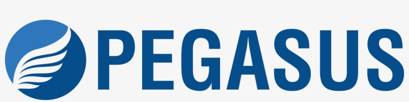 Pegasus Manufacturing - K1 Katsastajat, transparent png #6402088