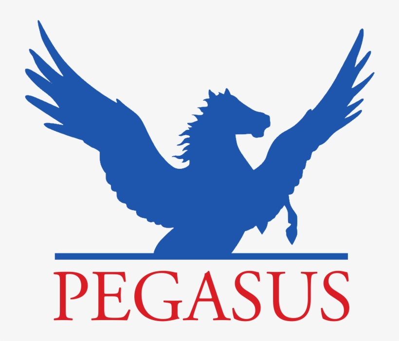 Horse Riding Pegasus Act Open Day - Pegasus Communications, transparent png #6402291