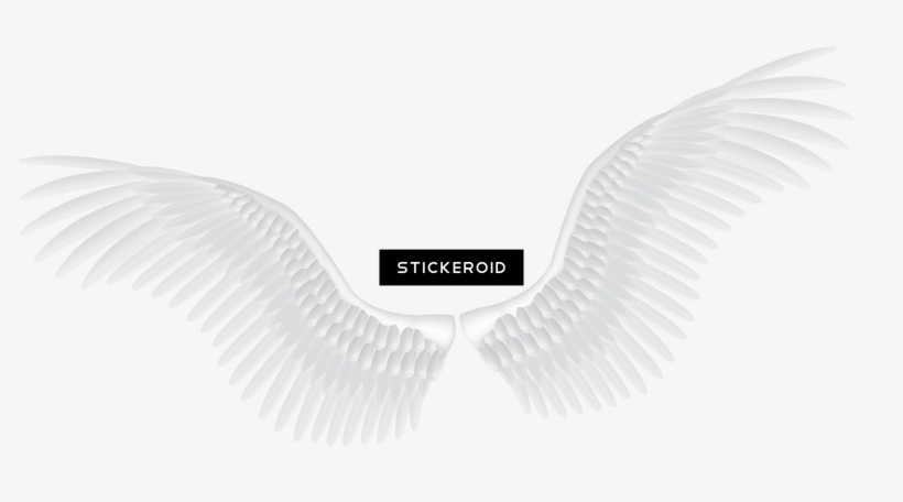White Angel Wings Fantasy Religion, transparent png #6402612
