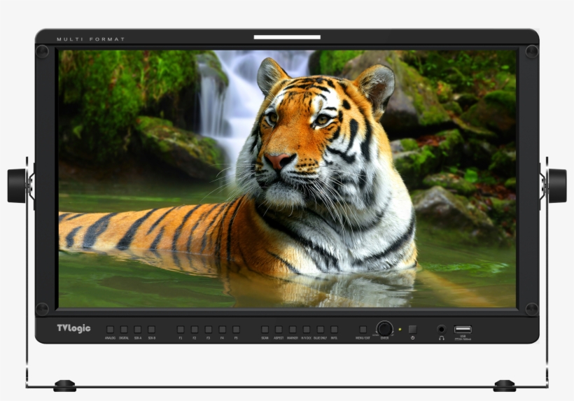 Tvlogic, Designer And Manufacturer Of Lcd And Oled - Tv Logic Lvm-170a 17" Full Hd Multi Format Lcd Monitor, transparent png #6405907