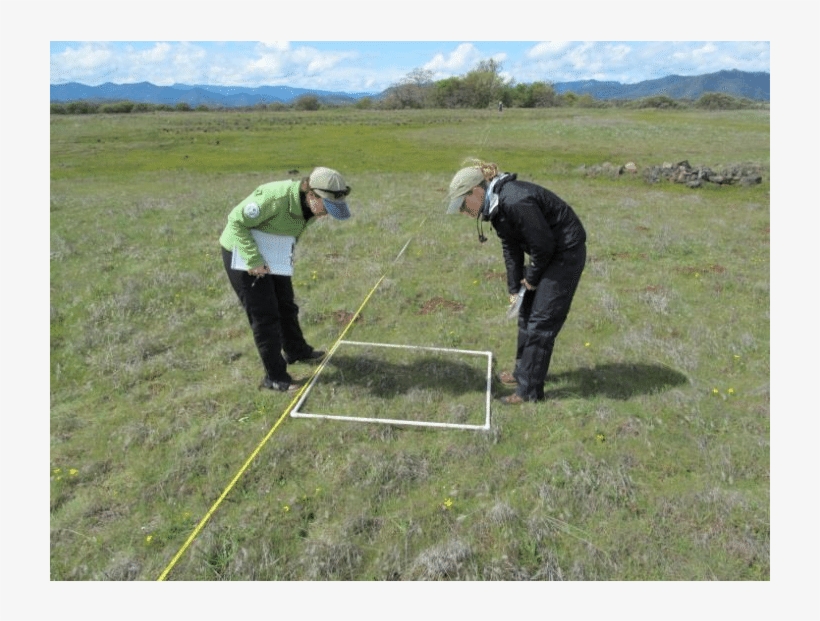 Iae Staff Monitoring Plant Community On Lower Table, transparent png #6406402